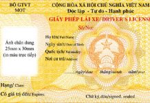 Công ty luật hà nội tư vấn Thủ tục cấp lại giấy phép lái xe
