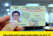 Độ tuổi được cấp Giấy phép lái xe của từng hạng từ 01/01/2025