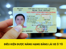 Độ tuổi được cấp Giấy phép lái xe của từng hạng từ 01/01/2025