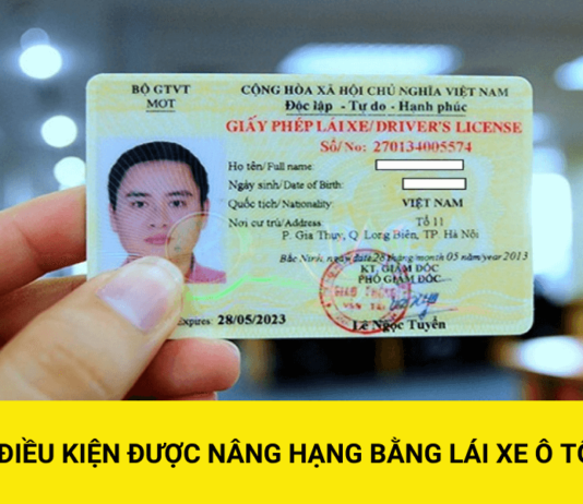 Độ tuổi được cấp Giấy phép lái xe của từng hạng từ 01/01/2025