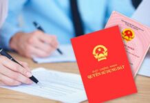 Các trường hợp cần nộp bản trích đo thửa đất