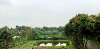 Thuê luật sư chuyển đổi mục đích sử dụng đất