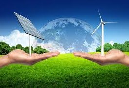 Hướng dẫn cách ghi các Mẫu văn bản quy định cho nhà đầu tư
