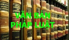 Không thể trao quyền nổ súng trực tiếp cho người thi hành công vụ