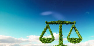 Dịch vụ luật sư tranh tụng vụ án tranh chấp đất đai