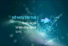 Tư vấn lĩnh vực Sở hữu trí tuệ