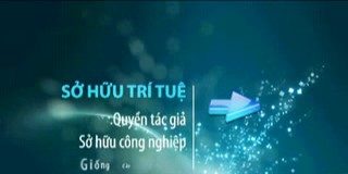 Tư vấn lĩnh vực Sở hữu trí tuệ