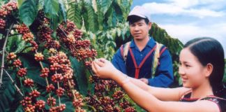 Công ty luật tại Hà Nội: Hỗ trợ DN xúc tiến thương mại tại Ấn Độ và Bangladesh